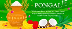 Pongal